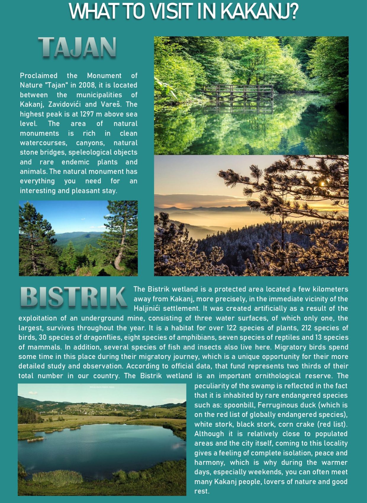 Brosura-2022-ispravna_page-0006